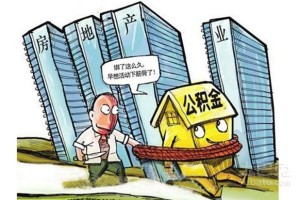 满冠体育平台- 圣埃蒂安名宿回归担任顾问，协助重建青训体系  